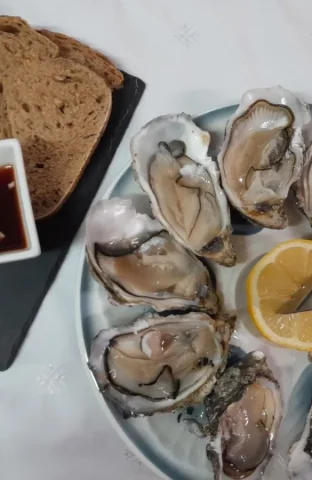 imgi_117_312257608_913372272969340_9058960241011180217_n@2x